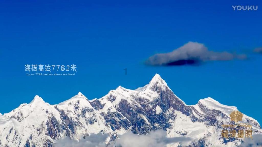 早教机构的收费贵吗？
